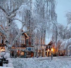 snow covered trees line the street in front of buildings with lights and decorations on them