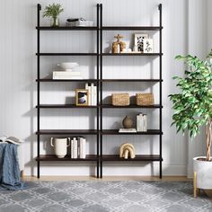 a living room filled with furniture and a potted plant on top of a wooden shelf