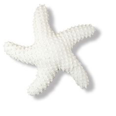 a white starfish on a white background