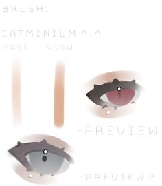 three different types of eyeliners are shown in this graphic above the words brush, catminum, fast slow and preview