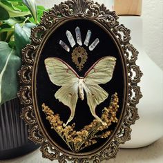 an ornate frame with a butterfly painted on the side and flowers around it, sitting next to a potted plant