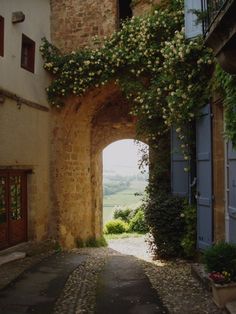 an alley way with flowers growing on it