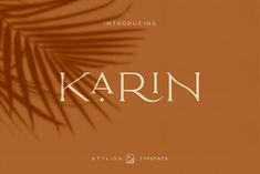 an image of the word karn on a brown background with palm leaves in shadow