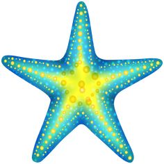 a blue starfish with yellow dots on it