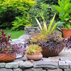 several potted plants sitting on top of a stone wall next to trees and bushes