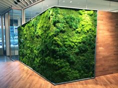 a large moss covered wall in an office building with wood flooring and glass walls