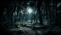 a dark forest filled with lots of trees and rocks under a full moonlit sky