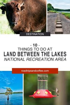 the top ten things to do at land between the lakes national recreation area