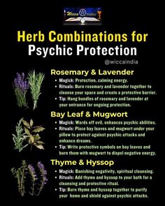 Herb Combinations, Wiccan Traditions, Herb Meanings, Medicinal Herbs Remedies, Magic Journal, Wiccan Illustration, Herbal Witch, Pagan Traditions, The Power Of The Mind