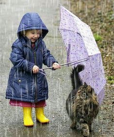 Purring Cat, Funny Memes About Girls, Animal Help, Owning A Cat, On A Rainy Day, Beanie Babies, A Rainy Day, Dog Photography, In The Rain