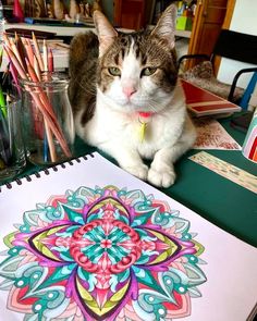 a cat sitting on top of a table next to a coloring book and pencils