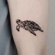 a small turtle tattoo on the arm