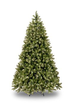 a green christmas tree with white lights on it's branches and the base is in front of a white background