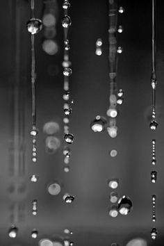 black and white photograph of rain drops hanging from the ceiling