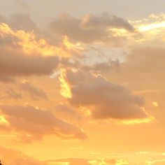 two giraffes are standing in the grass under a cloudy sky at sunset