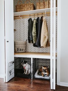 two dogs sit in their kennels on the floor