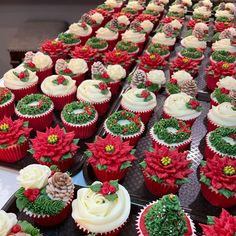 many cupcakes are decorated with poinsettis and pine cones on top