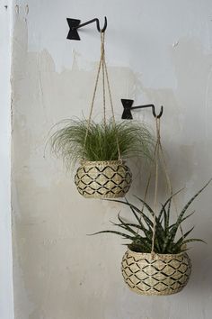 two potted plants hanging from hooks on a wall