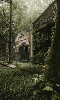 an abandoned building in the middle of a forest filled with trees and bushes, surrounded by lush green foliage