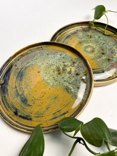 two yellow and black plates sitting on top of a white table next to green leaves