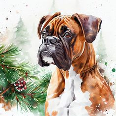 a watercolor painting of a boxer dog next to a christmas tree with pine cones