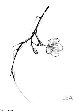 a black and white photo of a flower on a branch with the words leafless written below it