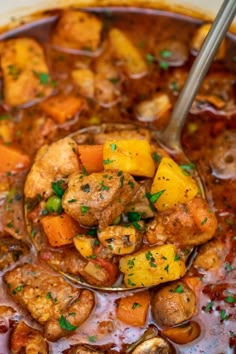 a spoon full of stew with potatoes and meat