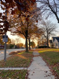 a sidewalk that has fallen leaves on the ground next to some trees and houses in the background