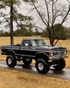 a black pickup truck parked on the side of a road next to a large tree