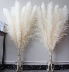 PRICES MAY VARY. Pampas Grass Decor Tall: Dried flower bouquet has 10 pcs large pampas grass, pampas grass decor tall has been carefully screened， The length of every pampas grass is 46 inches, the color of the tall pampas grass is beige, dried pampas grass is naturally fluffy, beautiful and elegant Boho Decor: Tall pampas have a boho style and are suitable for boho flowers, event decors, boho wall decor , boho wedding decor, boho party decorations, boho bathroom decor，boho table decor, and boho Floor Vases Decor, Dried Flowers For Wedding, Boho Bridal Shower Decorations, Boho Party Decorations, Floor Vases, Boho Bathroom Decor, Natural Dried Flowers, Flowers For Wedding, Grass Decor