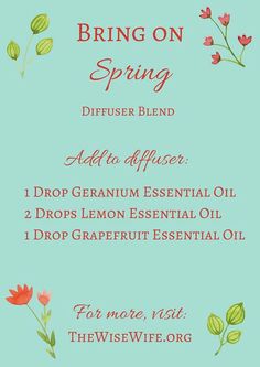 Spring blend Cleaning Strategies, Homemade Fragrance, Spring Diffuser Blends, Doterra Diffuser Blends, Spa Therapy, Diffuser Oil