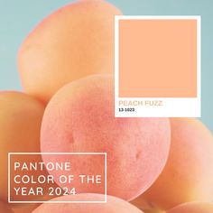 peach fuzz pantone color of the year