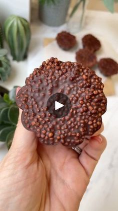 a person holding up a chocolate donut with sprinkles on the top