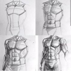 four different views of the torso and chest