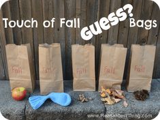 three brown paper bags with the words touch of fail, fall, and fall written on them