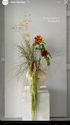 a vase filled with flowers sitting on top of a white pedestal next to a wall