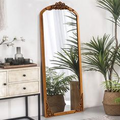 a mirror sitting on top of a table next to a potted plant