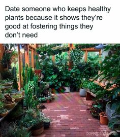 a brick walkway surrounded by potted plants with the caption date someone who keeps healthy plants because it shows they're good at fostering things they don't need