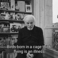 an old man sitting in front of a bookshelf with a quote about birds born in a cage think flying is an illusion