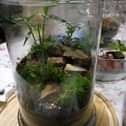 a glass vase filled with plants on top of a table