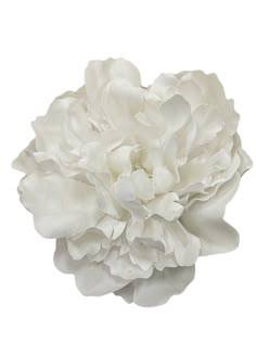 a large white flower on a white background