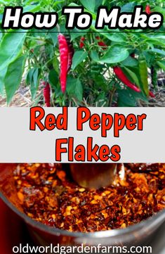 how to make red pepper flakes in a pot with the words, how to make red