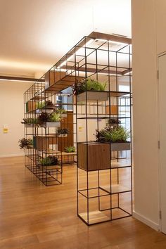 a room filled with lots of plants on shelves