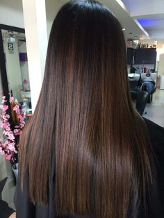 Straight Hair Highlights, Balayage Straight Hair, Brown Straight Hair, Black Hair Balayage, Straight Black Hair