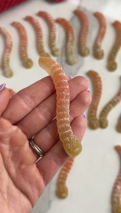 a hand holding a tiny worm in front of many worms on a white tablecloth