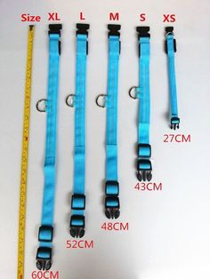 four different sizes of blue dog leashes with measuring tape