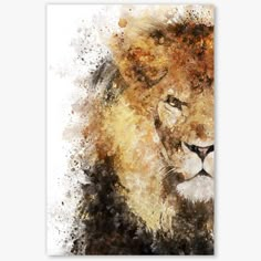 a watercolor painting of a lion's face on a white background canvas print