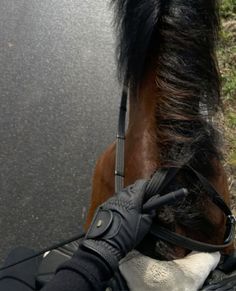 Riding Horse Aesthetic, Horses Luxury, Equitation Aesthetic, Riding Aesthetic, Horse Riding Aesthetic, Horsey Life, Cute Horse Pictures, Equestrian Aesthetic, Bay Horse