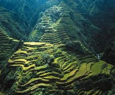 an aerial view of many terraces in the mountains