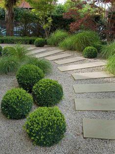 an outdoor garden with stepping stones and green plants in the center, surrounded by gravel